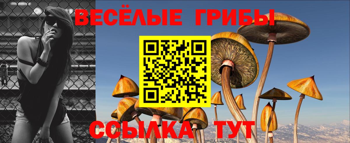 Псилоцибиновые грибы Magic Shrooms  Галлюциногенные грибы ЛСД  Вход с VPN  Боровичи 