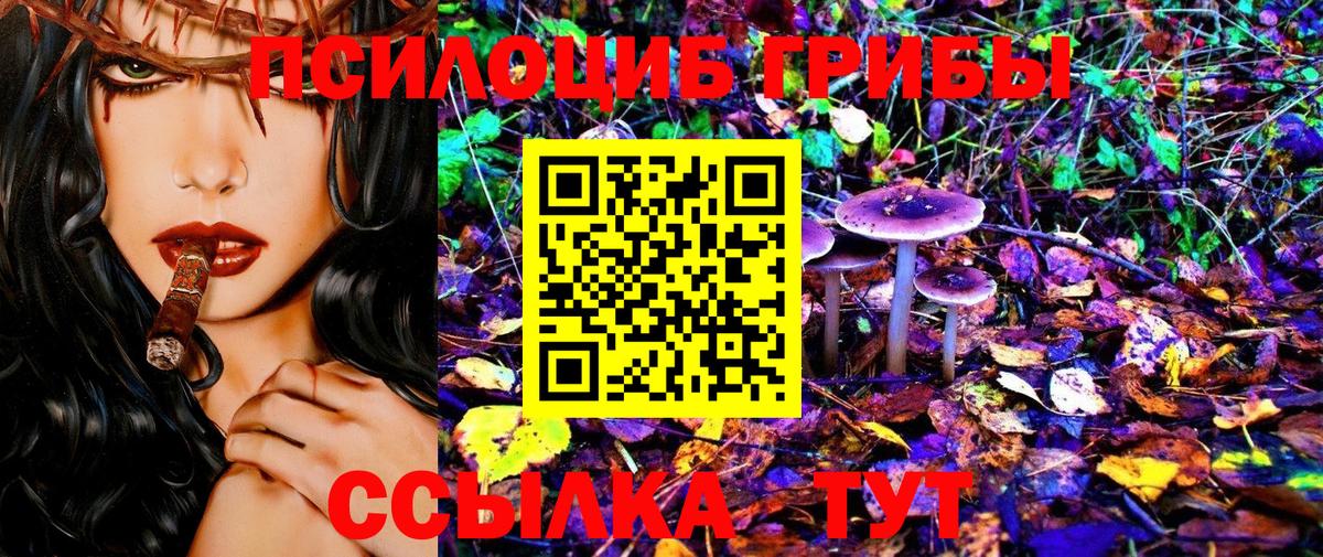 Псилоцибиновые грибы Cubensis Боровичи